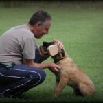 Hundetrainer Mario Becker mit Hund Mexx